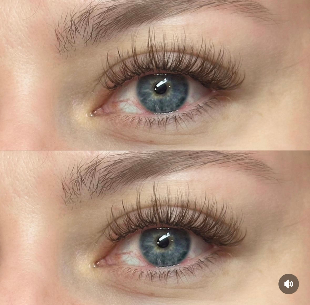 Brown lashes 0.05 mixed boxes
